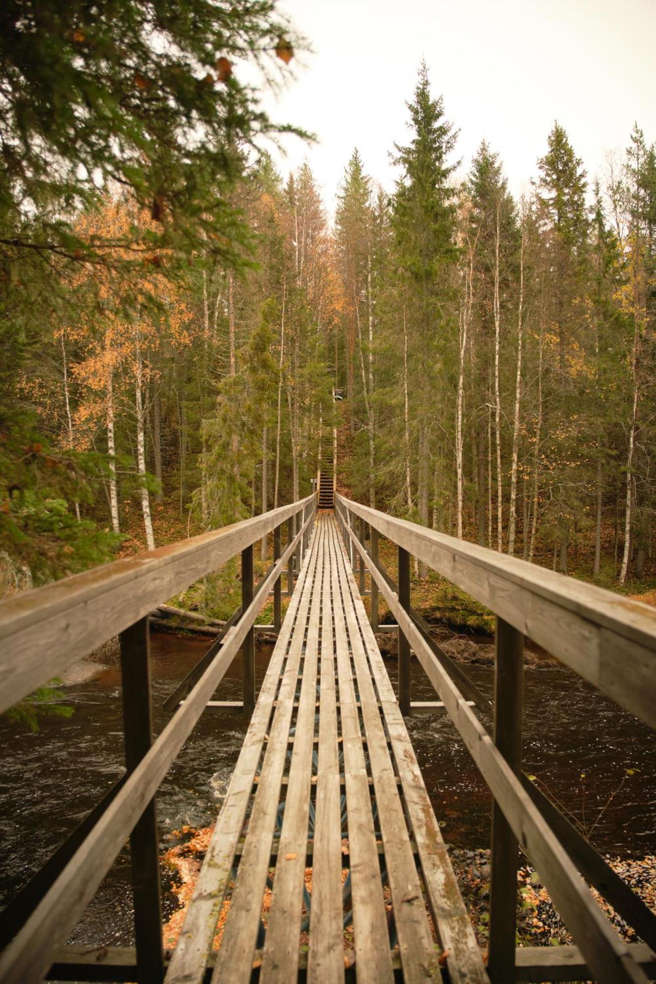 Langforsen Glamping & Lapland Experience Hotel Lapptrask Eksteriør billede