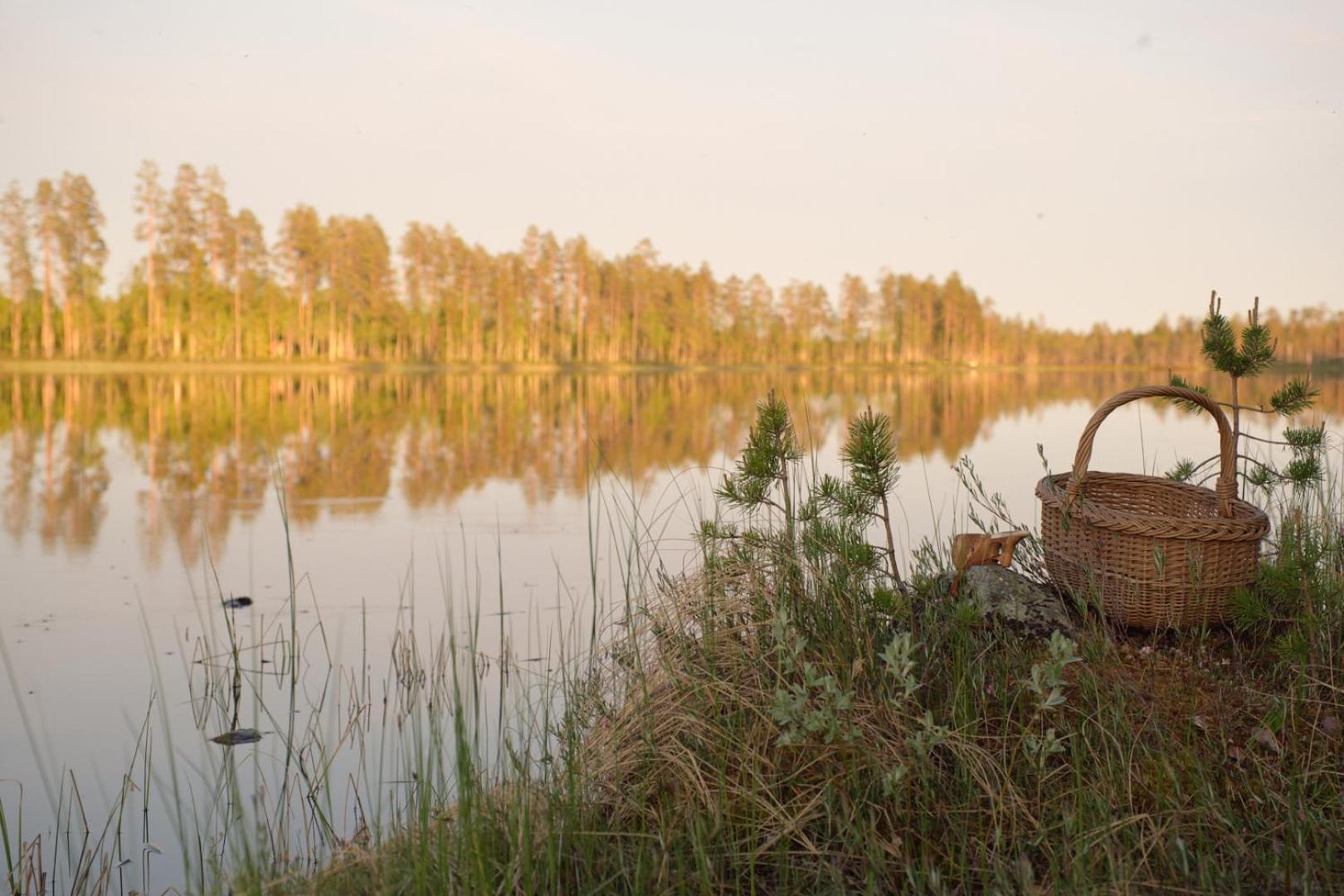 Langforsen Glamping & Lapland Experience Hotel Lapptrask Eksteriør billede