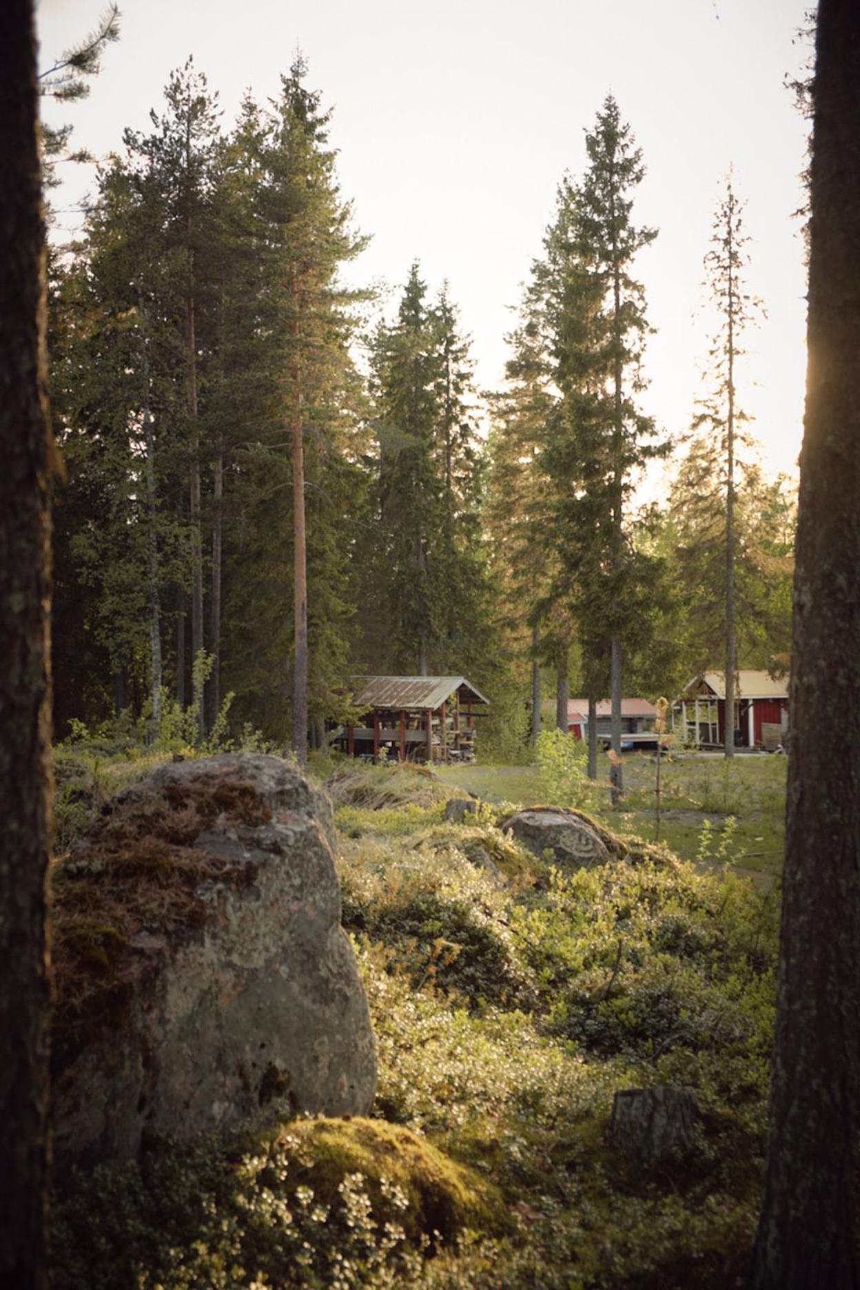 Langforsen Glamping & Lapland Experience Hotel Lapptrask Eksteriør billede
