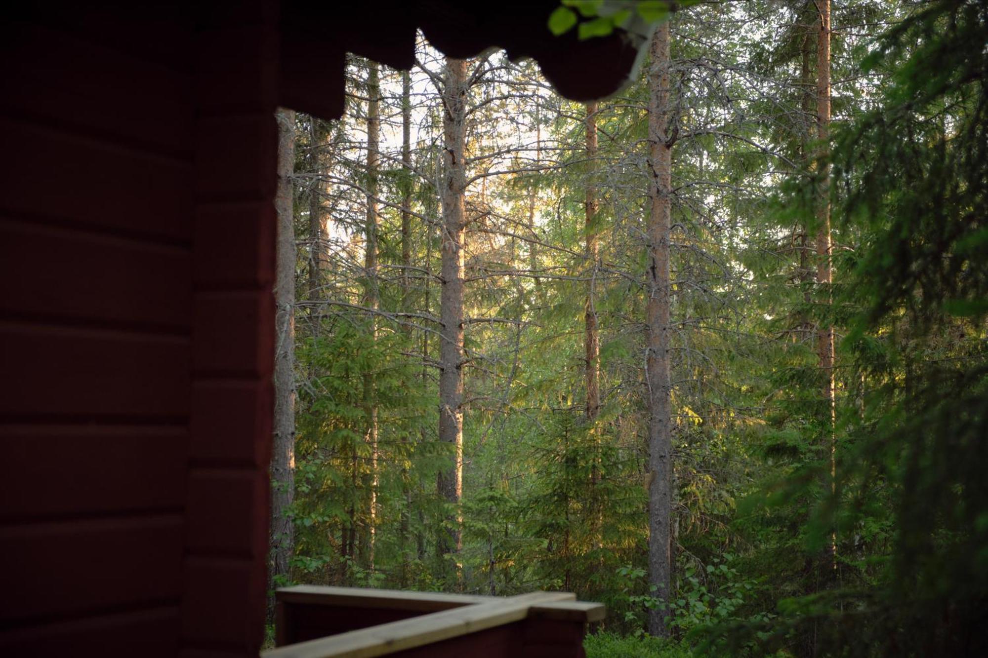 Langforsen Glamping & Lapland Experience Hotel Lapptrask Eksteriør billede